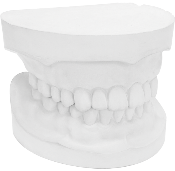 [Ransom & Randolph] OrthoStone - 44 lbs - Image 2