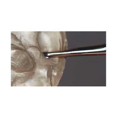 Tungsten Carbide Burs